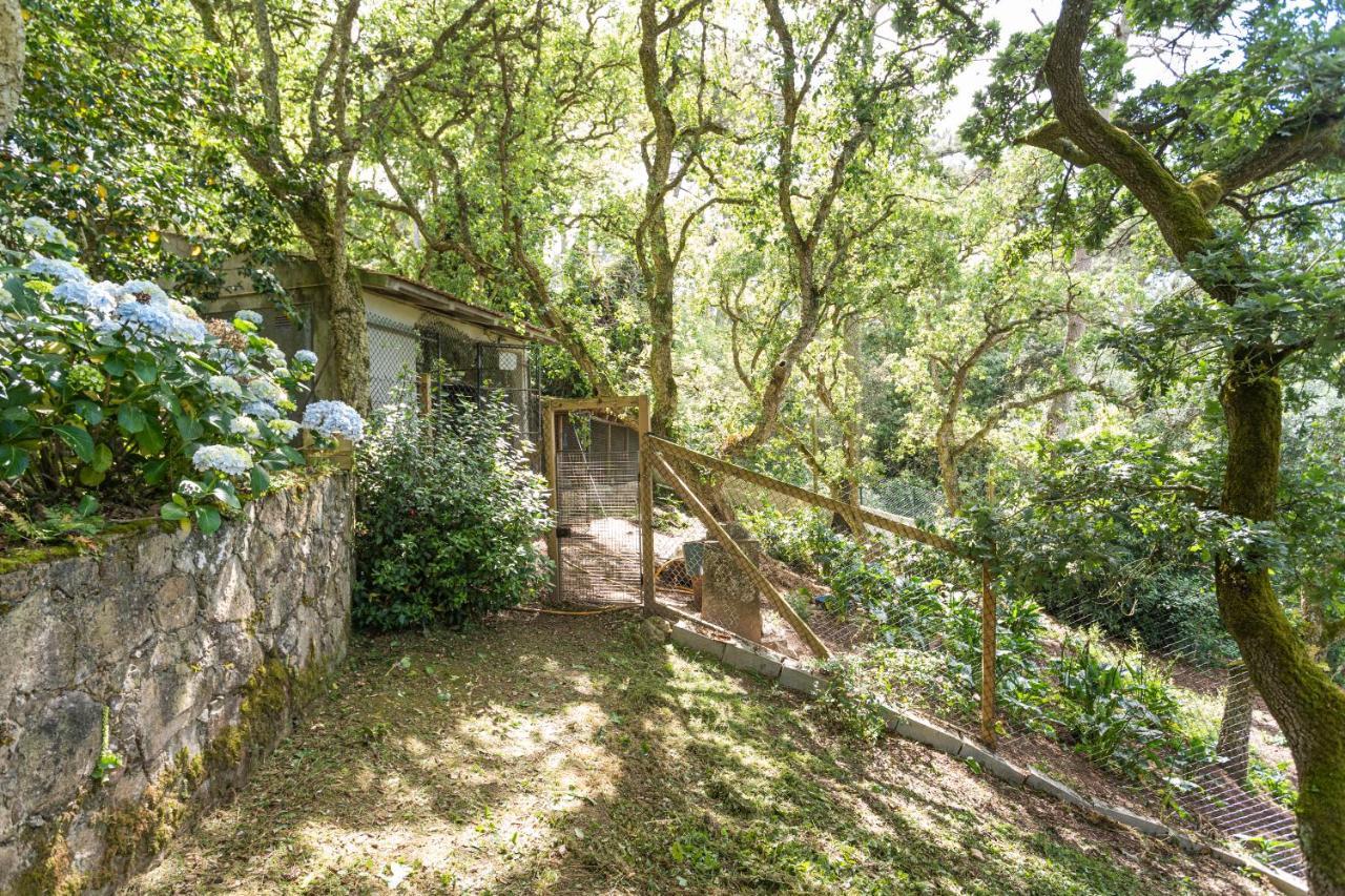 Quinta Biologica, Com Vista, Na Serra De Синтра Экстерьер фото