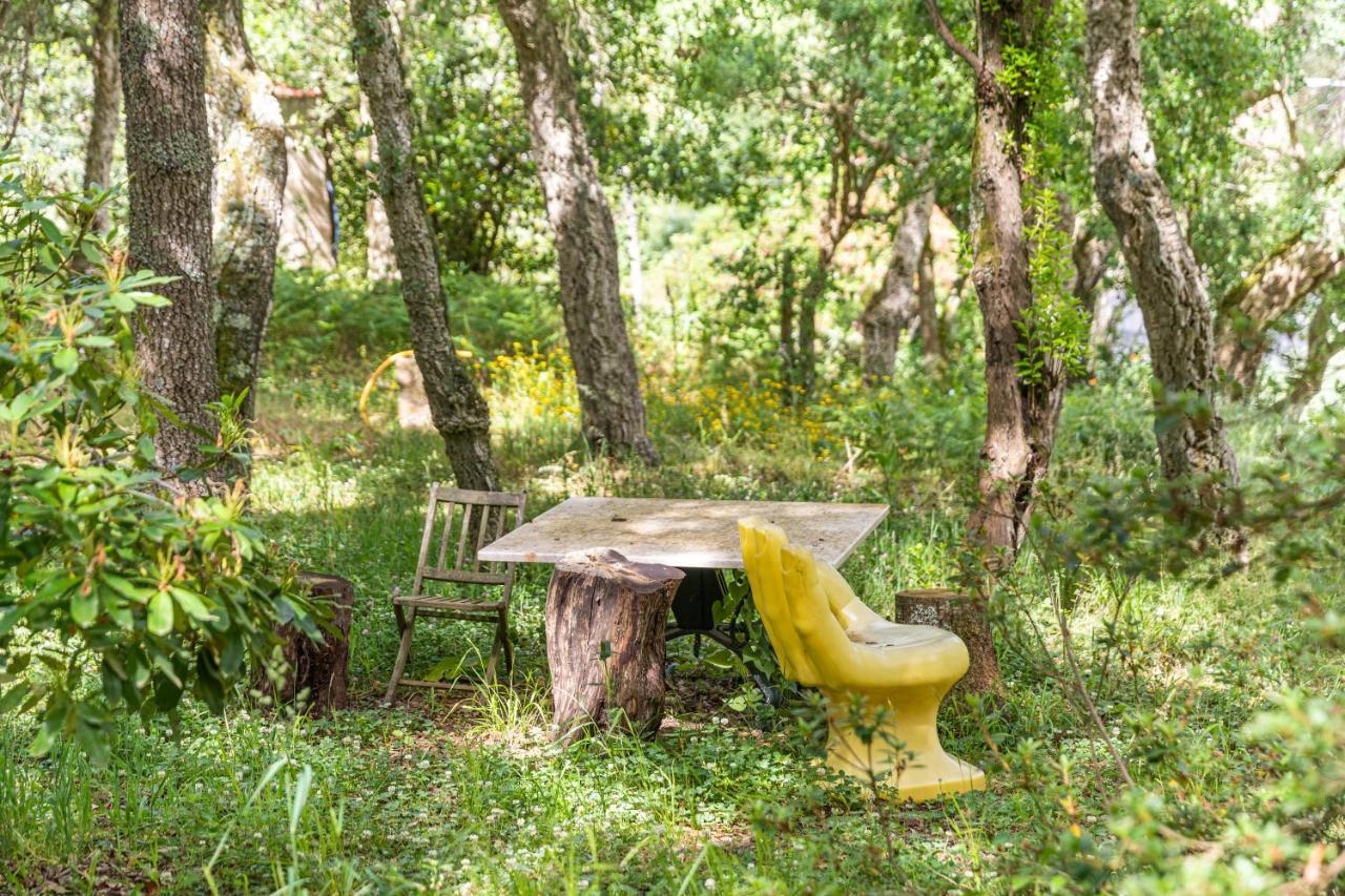Quinta Biologica, Com Vista, Na Serra De Синтра Экстерьер фото
