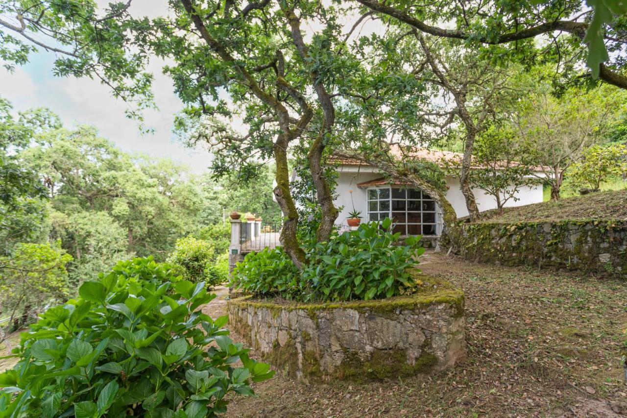 Quinta Biologica, Com Vista, Na Serra De Синтра Экстерьер фото
