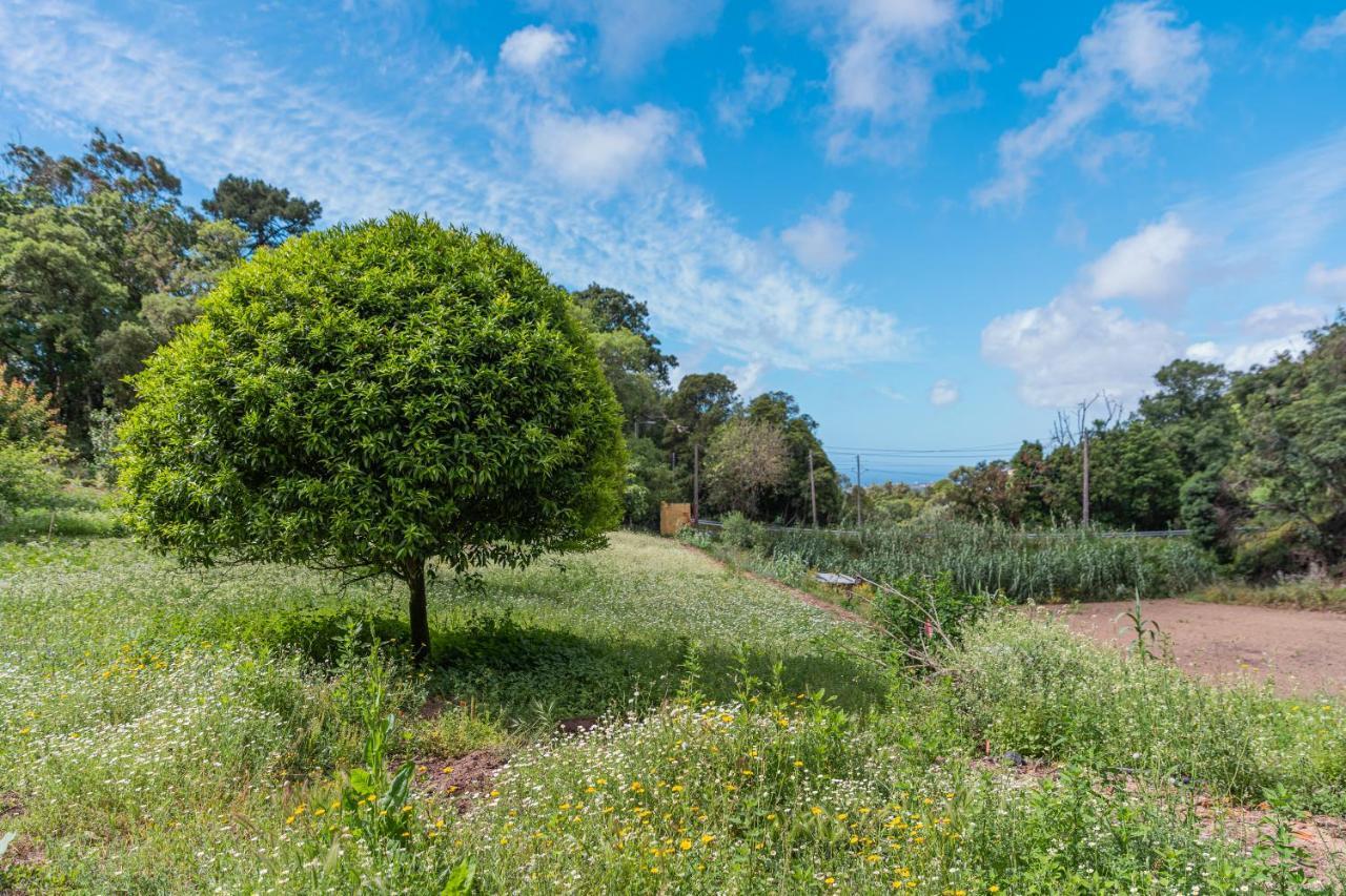 Quinta Biologica, Com Vista, Na Serra De Синтра Экстерьер фото